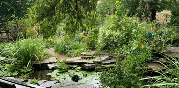 Climate Innovation, Sustainability & Community Garden Tours with LUNGS