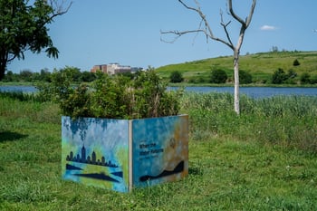 Opening Celebration for Littoral / Litoral