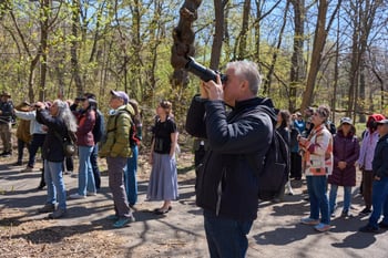 Climate Week: Guided Birding tour at Governors Island Park