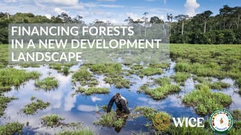 Financing Forests in the New Development Landscape