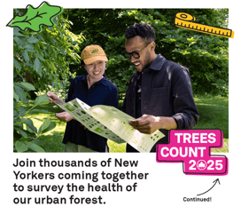 Trees Count at Prospect Park for Climate Week