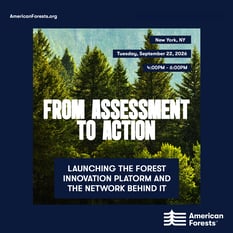 From Assessment to Action: Launching the Forest Innovation Platform