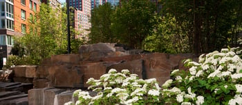 Forest Bathing for Climate