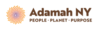 Reducing Risk, Building Resilience: A Jewish Climate Action Agenda