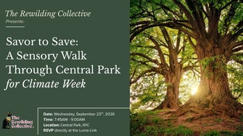 Savor the Earth:  A Mindful Walk Through Central Park for Climate Week