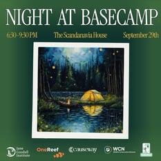 Night at Basecamp: An Evening of Conservation Storytelling
