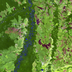 Building Strong Foundations for Climate-Smart and Resilient Food Systems: Geospatial Innovation, Cloud Technologies, AI & Collaboration