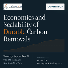Economics and Scalability of Durable Carbon Removals