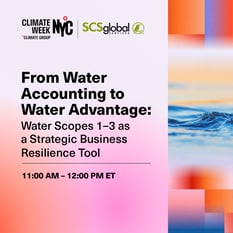 From Water Accounting to Water Advantage: Water Scopes 1–3 as a Strategic Business Resilience Tool.