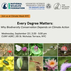 Every Degree Matters: Why biodiversity conservation depends on climate action