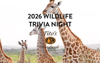 Wildlife Trivia with Wild Tomorrow