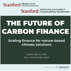 The Future of Carbon Finance