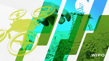 Unlocking Climate Innovation: From Global Commitments to Local Green Technology Deployment