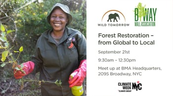 Forest Restoration – from local to global