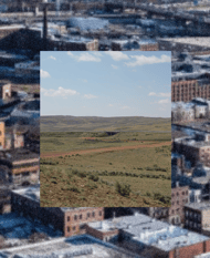 Nature x Infrastructure Mixer, Building for Biodiversity