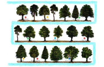 WaterWays//Sitting with Trees: How Can Artists + Scientists + Communities Work Together to Imagine a More Flood Resilient NYC?