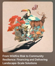 From Wildfire Risk to Community Resilience: Financing and Delivering Landscape-Scale Solutions