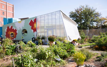 Planting Change: School Gardens as Hubs for Climate Action and Community