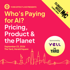 Who's Paying for AI? Pricing, Product, and the Planet