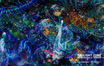 Twilight Zone: Hidden Wonders of the Ocean at ARTECHOUSE NYC