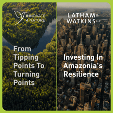 From Tipping Points to Turning Points: Investing in Amazonia's Resilience