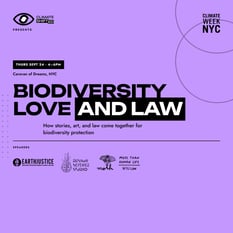 Biodiversity Love And Law: How Stories, Art, And Law Come Together For Biodiversity Protection