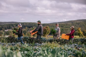 Rooted and Flowing: stewarding land and water for a resilient future