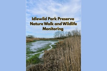 Nature Walk and Wildlife Monitoring