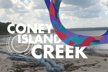   Sand Study Stewardship & International Coastal Clean-up Dance Party in Coney Island Creek
