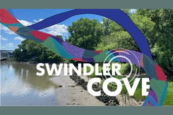 Come to the Cove! Celebrating and restoring the hidden wetland, beach and woods along the Harlem River