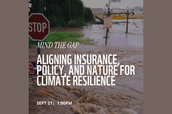 Mind the Gap: Aligning Insurance, Policy, and Nature for Climate Resilience