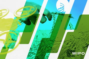 Unlocking Climate Innovation: From Global Commitments to Local Green Technology Deployment