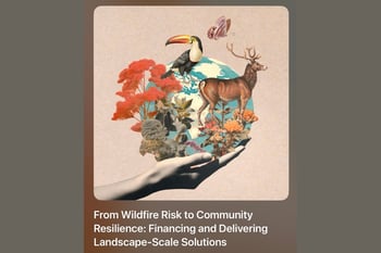 From Wildfire Risk to Community Resilience: Financing and Delivering Landscape-Scale Solutions