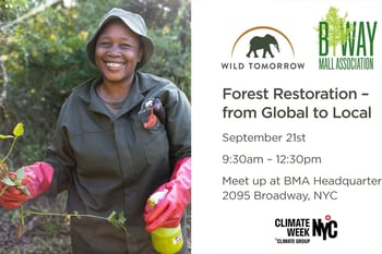 Forest Restoration – from local to global