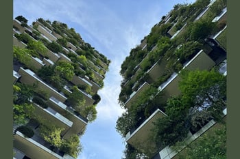 Navigating the New Rules on Environmental Marketing: Perspectives from the U.S. and the E.U.