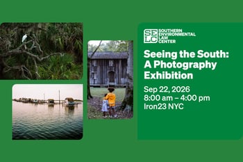 Seeing the South: A Photography Exhibition