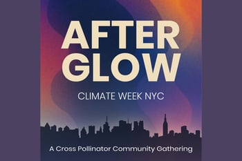 After Glow NYC