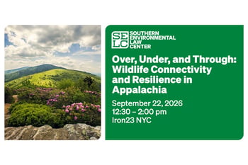 Over, Under, and Through: Wildlife Connectivity and Resilience in Appalachia