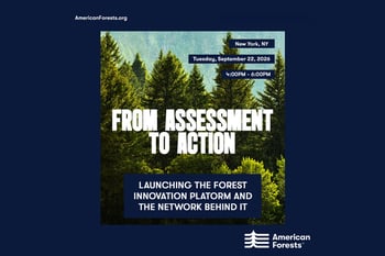 From Assessment to Action: Launching the Forest Innovation Platform