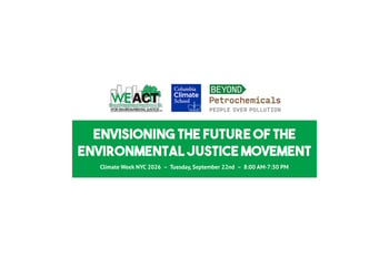Envisioning the Future of the Environmental Justice Movement