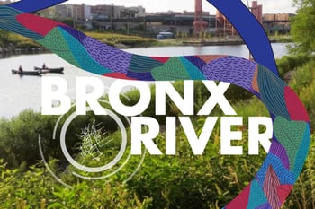 Cultivating Abundance on the Bronx River with Foragers in the Foodway and La Bruja