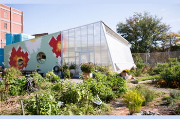 Planting Change: School Gardens as Hubs for Climate Action and Community