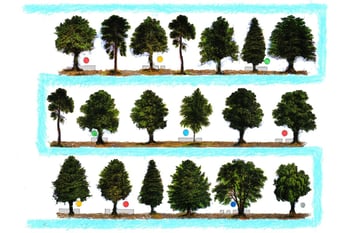 WaterWays//Sitting with Trees: How Can Artists + Scientists + Communities Work Together to Imagine a More Flood Resilient NYC?