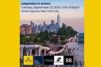 Adaptation in Action!