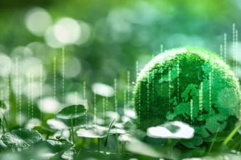 ESG and Sustainability Considerations for Financial Institutions – Preparing For What Is Next