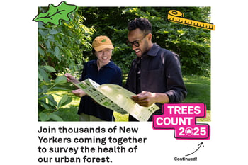 Trees Count at Riverside Park for Climate Week