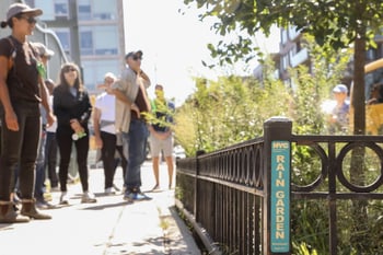Bridging Talent & Climate Innovation: How Nature-Based Jobs Can Become Pathways for Economic Mobility