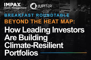 Beyond the Heat Map: How Leading Investors Are Building Climate-Resilient Portfolios