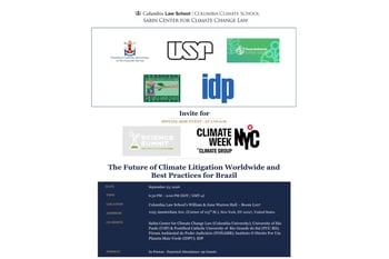 The Future of Climate Litigation Worldwide and Best Practices for Brazil