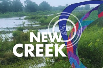 Walking the Bluebelt... an exclusive tour of New York City's largest storm water management system